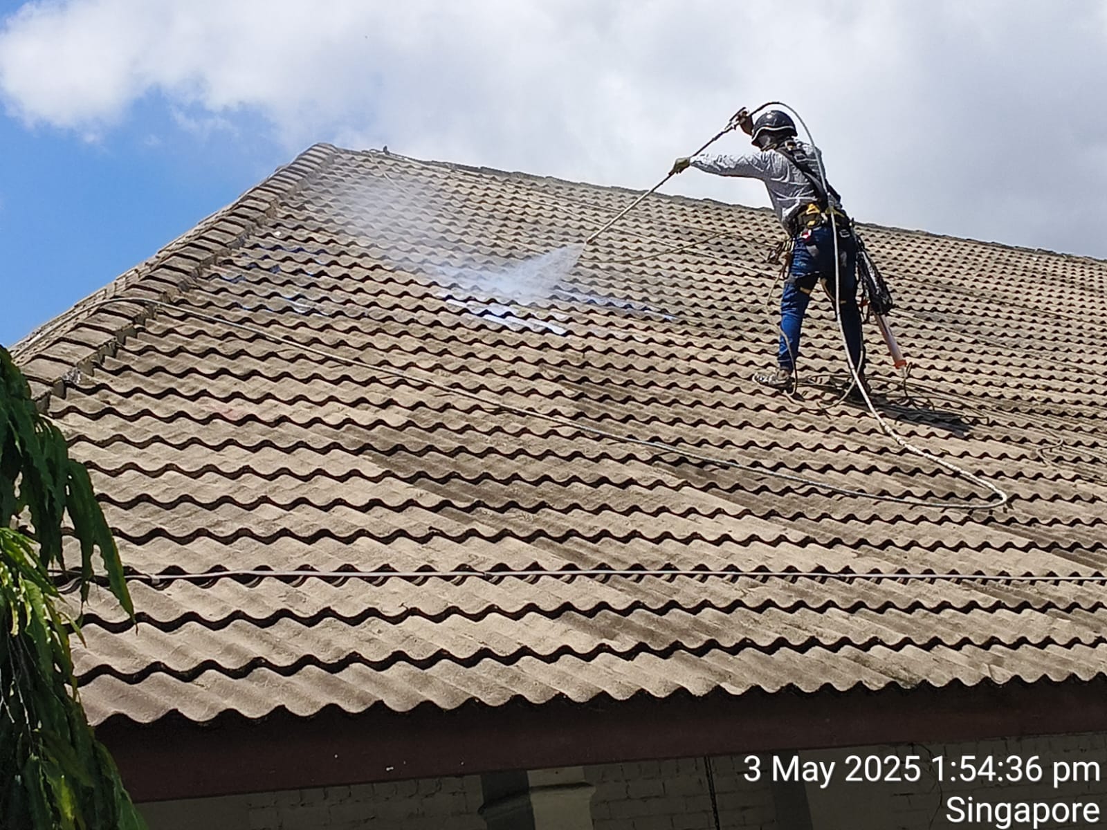 WhatsApp Image 2026-01-16 at 9.21.44 AM